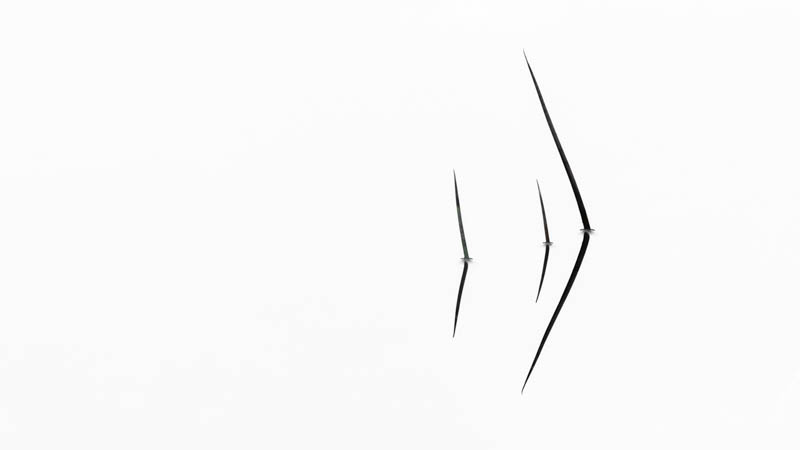 Platz 2 Robert Seitz